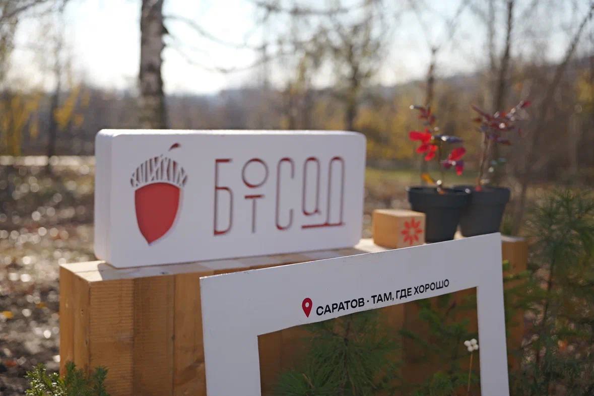 За неделю ботанический сад в Саратове посетили 8 тысяч человек